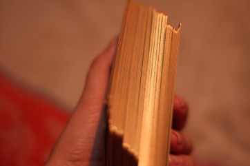 IMG_9832.JPG