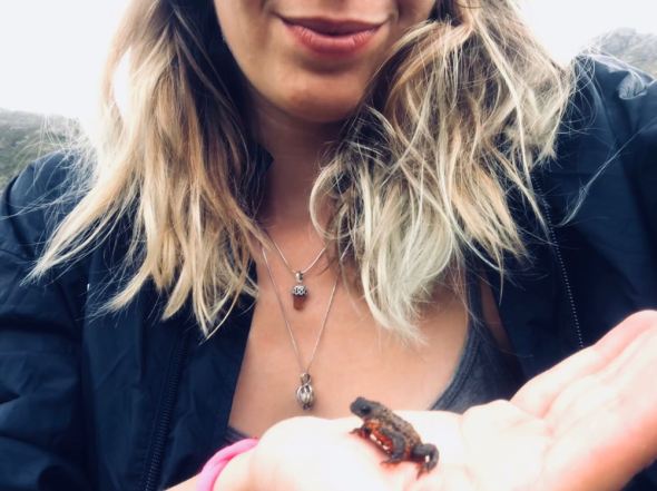 WhatsApp Image 2017-12-28 at 23.20.24(1)